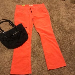 Sweet Heart Pant’s.